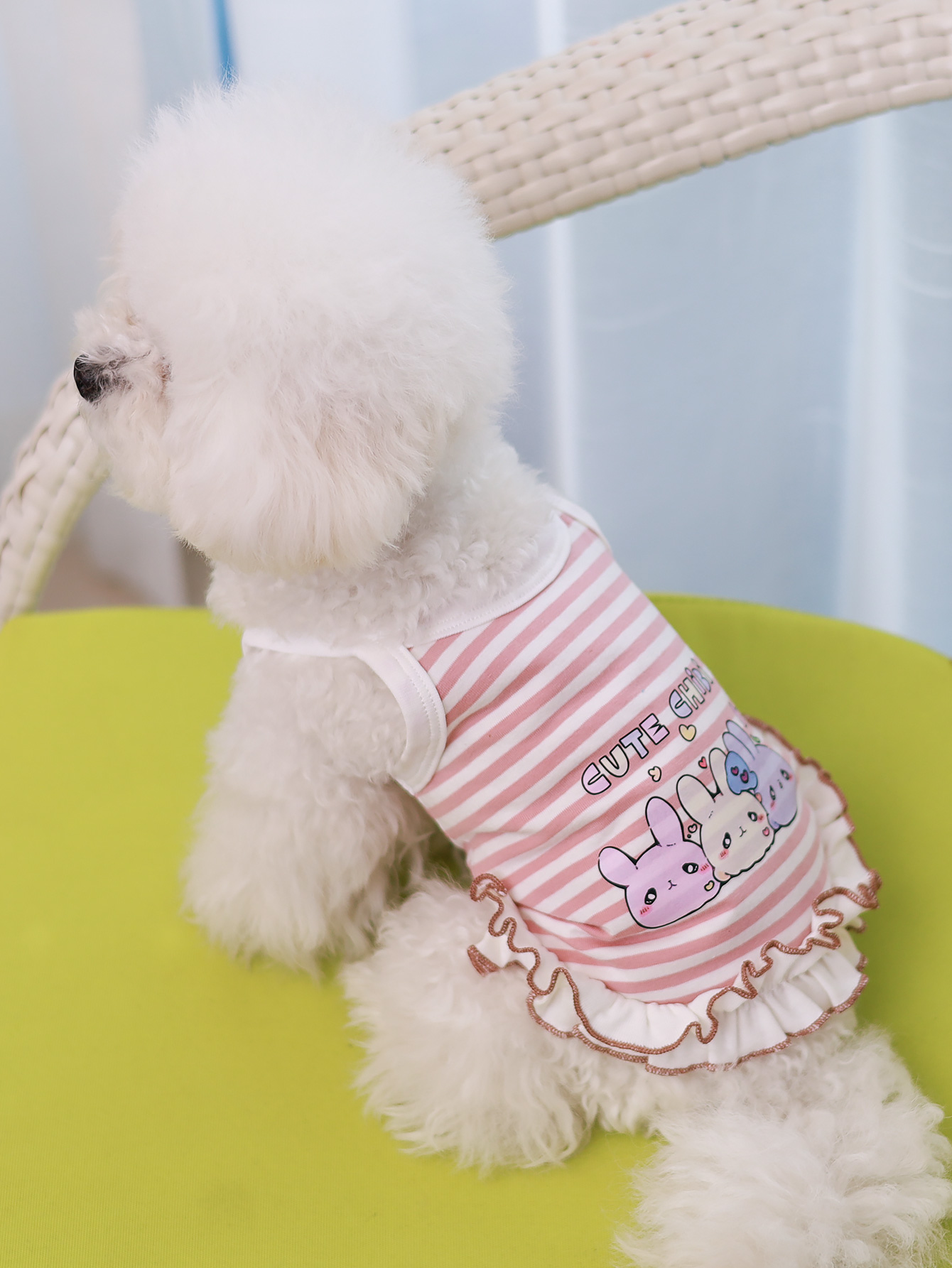 Dog vest, summer breathable th - Summer Clothing Material recension och pris