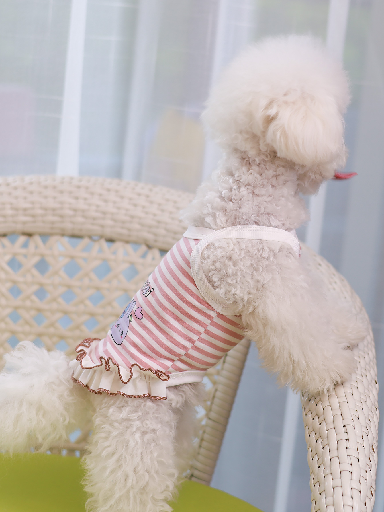 Dog vest, summer breathable th - Summer Clothing Material recension och pris