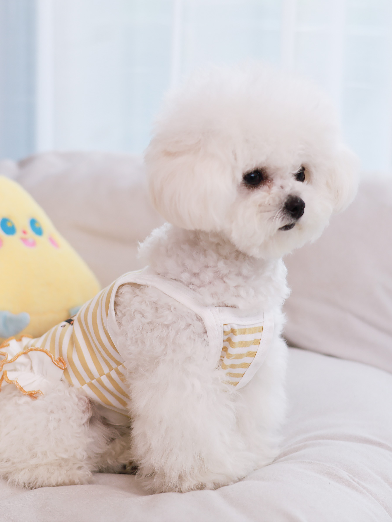 Dog vest, summer breathable th - Summer Clothing Material recension och pris